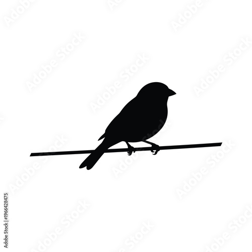 Black bird silhouette perched on thin branch