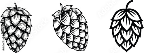 Hop cone icons, beer brewing ingredient, botanical silhouette illustration, craft beer design, black vector hops collection for brewery branding