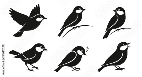 Set of various bird silhouettes in flight and perched positions, actively moving on an isolated white background.