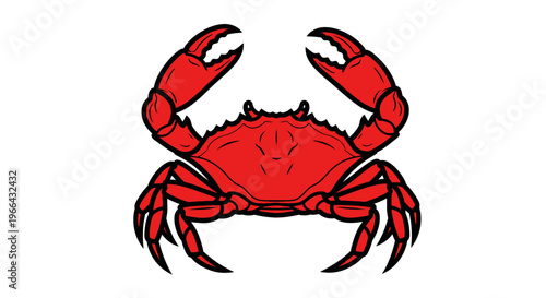An aggressive red crab with raised claws stands boldly on a white background.