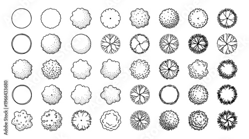 Diverse Tree Plan Top View Illustrations Set