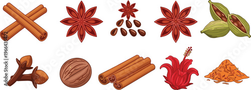 Spice collection illustration with cinnamon sticks, star anise, cardamom, cloves, nutmeg and hibiscus, aromatic cooking ingredients set isolated on white