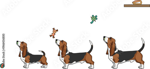 Basset Hound Vector Illustration Set Showing Dogs Playing with Balls, Stuffed Toys, and Chew Items, Adorable Long-Eared Breed Poses Isolated on White Background for Pet, Animal, and Dog Lover Designs