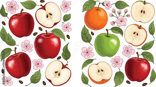 Apple and orange vector set with slices, flowers, and leaves. Botanical style fruit illustrations in flat design. Ideal for food packaging, organic branding, and nature themed visuals.