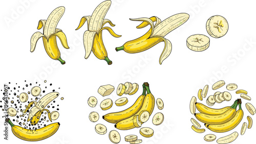 Banana vector set with slices splash and dynamic compositions. Fresh tropical fruit illustrations in hand drawn style. Perfect for food design, juice branding, and healthy lifestyle visuals.