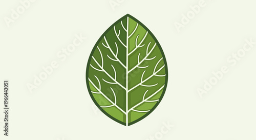 Green leaf with white veins illustration.