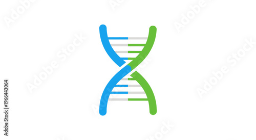 Colorful DNA double helix model.