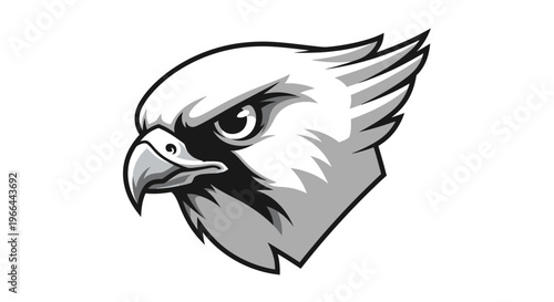 Eagle head with sharp gaze.