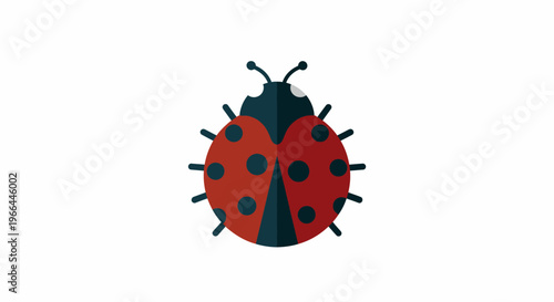Red ladybug with black spots insect.