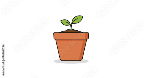Small green plant in pot.