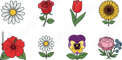 Collection of colorful flowers daisy rose tulip sunflower hibiscus pansy peony forget me not on grey background.