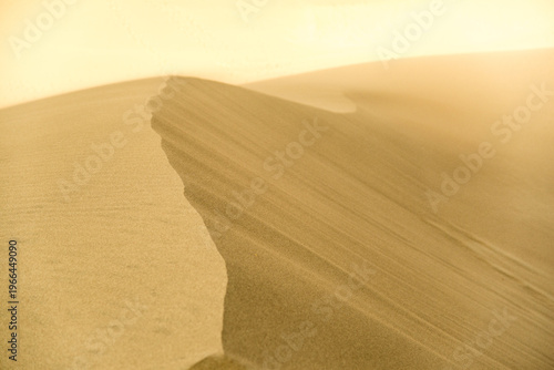 USA, Colorado, Great Sand Dune National Park.  The tallest sand dunes in North America, up to 750 feet (230 m) tall.  Covering an area of about 30 sq mi (78 km2)