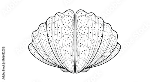 Detailed black and white line art illustration of an open bivalve seashell, capturing the natural ridges and patterns of marine life.
