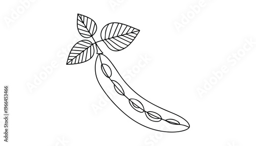 One continuous line illustration of an Peas vegetable, isolated on white background.