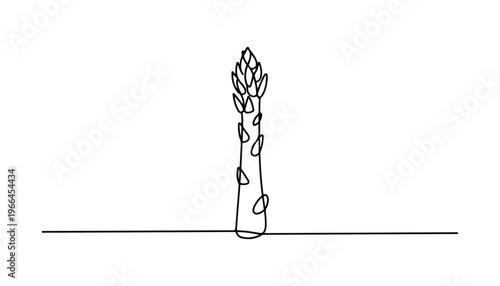 One continuous line illustration of an Asparagus vegetable, isolated on white background.