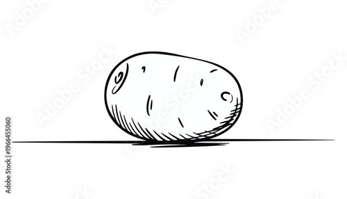One continuous line illustration of an potato vegetable, isolated on white background.