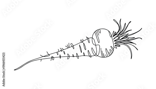 One continuous line illustration of an carrots vegetable, isolated on white background.