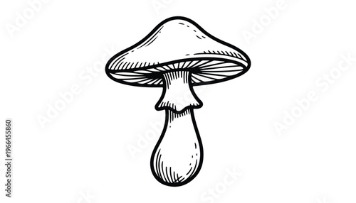 One continuous line illustration of an mushroom vegetable, isolated on white background.