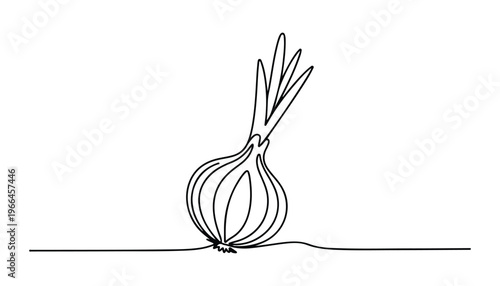 One continuous line illustration of an onion vegetable, isolated on white background.