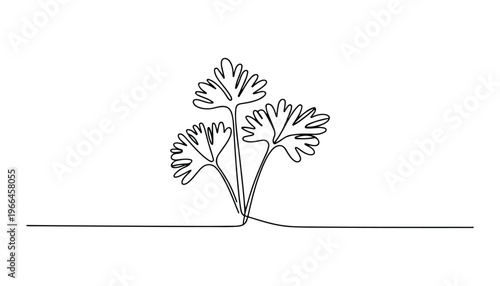 One continuous line illustration of an Coriander vegetable, isolated on white background.