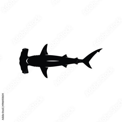 Black silhouette of a hammerhead shark swimming on white background fish