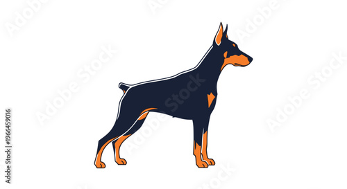 Profile view of a powerful doberman pinscher dog standing in a proud posture isolated on a plain white background.