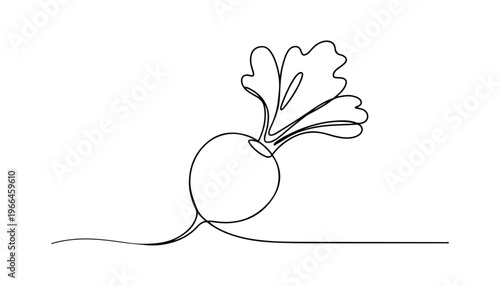 One continuous line illustration of an Radishes vegetable, isolated on white background.