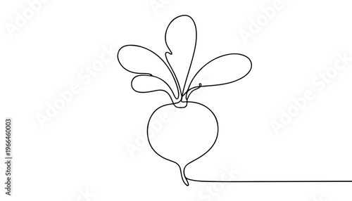 One continuous line illustration of an Radishes vegetable, isolated on white background.