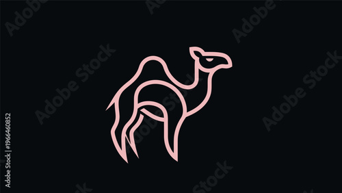 Pink camel line art on black background
