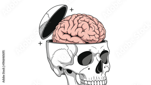Anatomical illustration of a human skull with the top opened to reveal the brain inside in a clean vector style for science and medical themes.