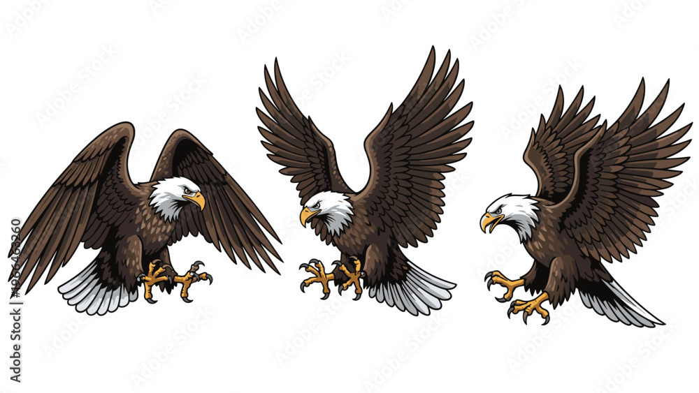 Obraz premium Three detailed illustrations of bald eagles in different flight and landing positions with outstretched wings and sharp talons for nature.