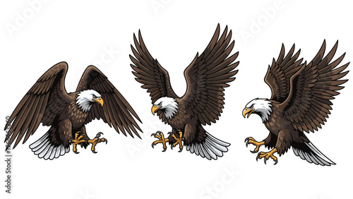 Three detailed illustrations of bald eagles in different flight and landing positions with outstretched wings and sharp talons for nature.