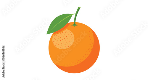 Single ripe orange fruit with a green leaf and a small stem shown in a clean and colorful illustration style on white.