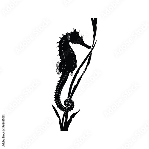 Black silhouette of a seahorse holding onto seaweed white background