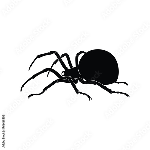 Принти на полотні Black spider silhouette on white background arachnid