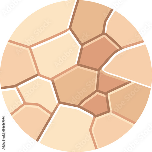 Illustration of a circular dry skin cracked texture icon with an uneven broken surface, suitable for skincare, dermatology, and health concepts