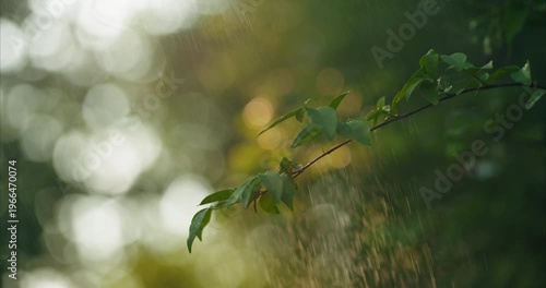 breathtaking scene of green leaves rustling in the garden during a gentle sunshower. Soft sunlight filters through the foliage