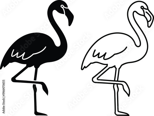 Black and white flamingo standing side by side Vector