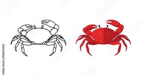 Vector illustration of crabs in black and red