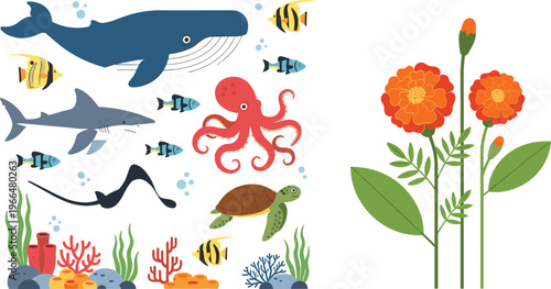 Marine life and floral vector illustration set with whale, shark, octopus, sea turtle, tropical fish underwater scene, and orange marigold flowers