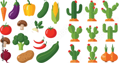 Fresh vegetables and cactus plants vector illustration set with tomato, carrot, eggplant, corn, cucumber, chili peppers, broccoli, and desert cacti collection