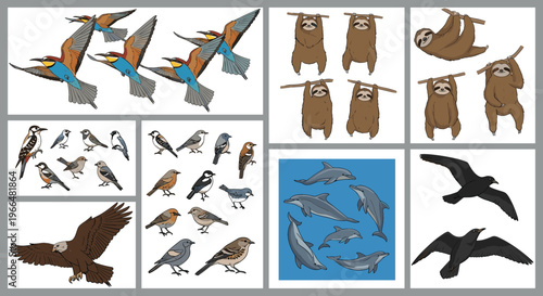 Wildlife vector illustration collection with flying birds, sloths on branches, dolphins swimming, eagle and black bird silhouettes isolated set