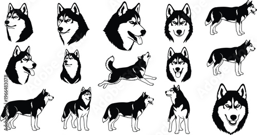 Collection of husky dog illustrations and silhouettes in various poses isolated on white background perfect for pet design logos icons and animal graphics