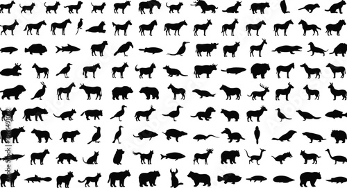 Big pack of wildlife animal silhouettes, black vector illustration, forest jungle creatures, pets, birds and fish icons, nature outline set