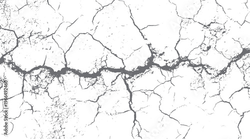 Cracked dry earth surface texture with grey lines and small dots on white background