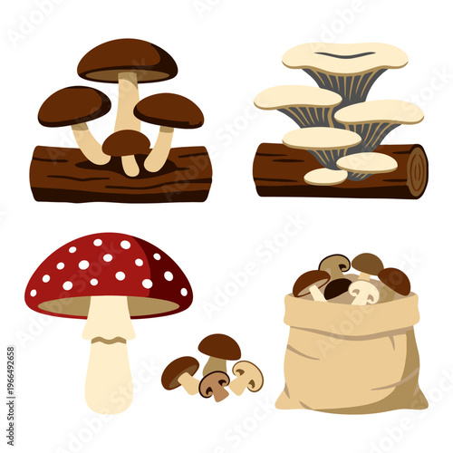 Mushroom collection set with edible forest fungi, oyster mushrooms, toadstool, log cultivation and organic harvest Flat vector illustration