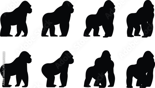 Eight black gorilla silhouettes in diverse poses and angles against a white background primate animal