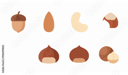 Circular nut collection acorn almond cashew vector illustration