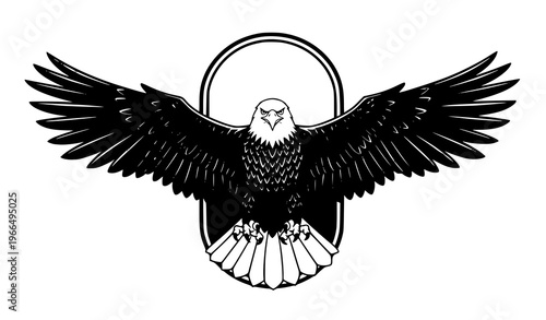 Eagle in frame wings fully spread vector illustration