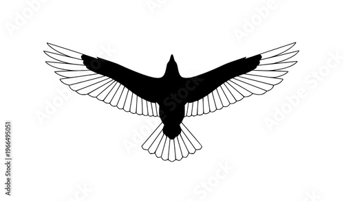 Minimalist eagle vector wings fully spread illustration
